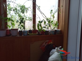 Восстания,58 в Электростали - ehlektrostal.yutvil.ru - фото 6 Восстания,58 в Электростали - ehlektrostal.yutvil.ru - фото 6