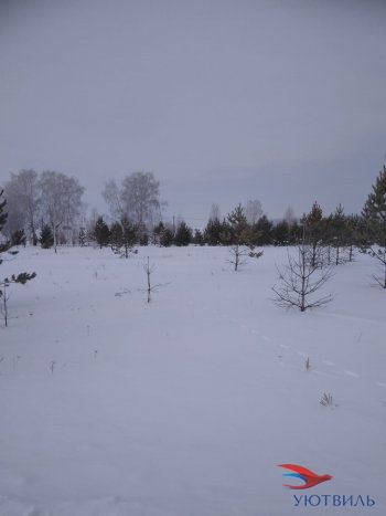 Земельный участок поселок Баженово в Электростали - ehlektrostal.yutvil.ru - фото 2 Земельный участок поселок Баженово в Электростали - ehlektrostal.yutvil.ru - фото 2