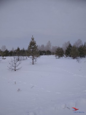 Баженово ул Южная д 7 в Электростали - ehlektrostal.yutvil.ru - фото 5