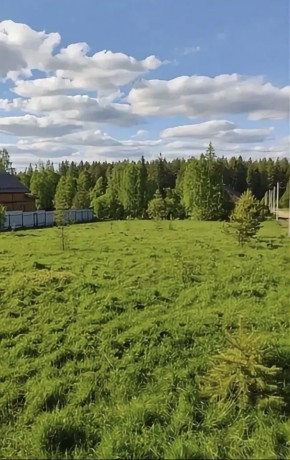 ДП Родной в Электростали - ehlektrostal.yutvil.ru - фото 3 ДП Родной в Электростали - ehlektrostal.yutvil.ru - фото 3