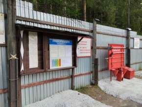 г.Верхняя Пышма СНТ №5 Березки в кв. 22 Среднеуральского Уралмашевского лесхоза в Электростали - ehlektrostal.yutvil.ru - фото 18