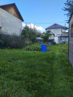 Коллективный сад номер 7, участок 58 в Электростали - ehlektrostal.yutvil.ru - фото 26 Коллективный сад номер 7, участок 58 в Электростали - ehlektrostal.yutvil.ru - фото 26