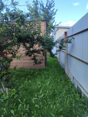 Коллективный сад номер 7, участок 58 в Электростали - ehlektrostal.yutvil.ru - фото 27 Коллективный сад номер 7, участок 58 в Электростали - ehlektrostal.yutvil.ru - фото 27
