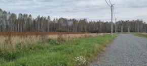 с. Новоалексеевское, КП Оникс,  в Электростали - ehlektrostal.yutvil.ru - фото 2