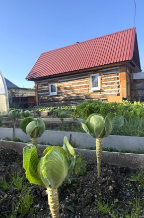 СНТ Дорожник в Электростали - ehlektrostal.yutvil.ru - фото 19