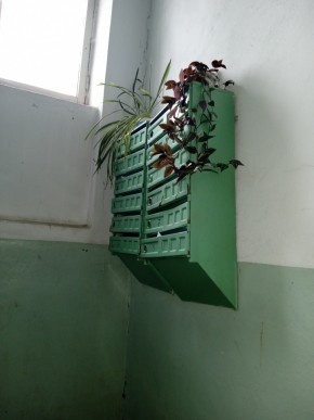 ул. Бажова,11 в Электростали - ehlektrostal.yutvil.ru - фото 2