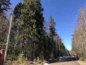 ул. Калиновая,9 в Электростали - ehlektrostal.yutvil.ru - фото 4