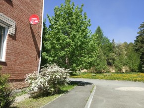 ул. Сосновая, 8 в Электростали - ehlektrostal.yutvil.ru - фото 25