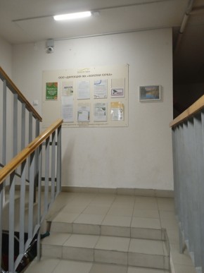 ул. Высокая,7 в Электростали - ehlektrostal.yutvil.ru - фото 9 ул. Высокая,7 в Электростали - ehlektrostal.yutvil.ru - фото 9